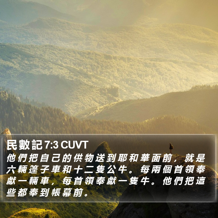 民 數 記 7:3 CUVT Bible Study