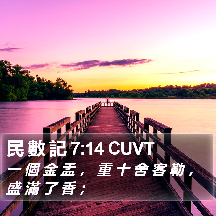 民 數 記 7:14 CUVT Bible Study