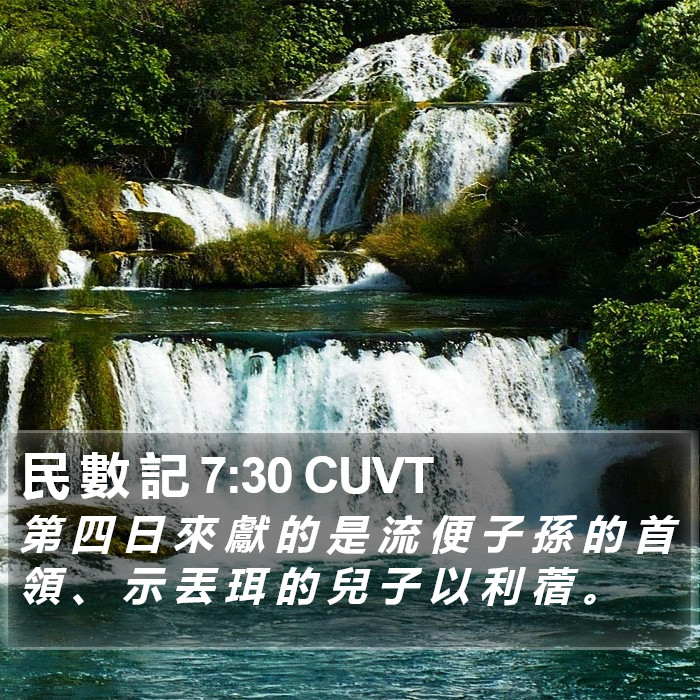 民 數 記 7:30 CUVT Bible Study
