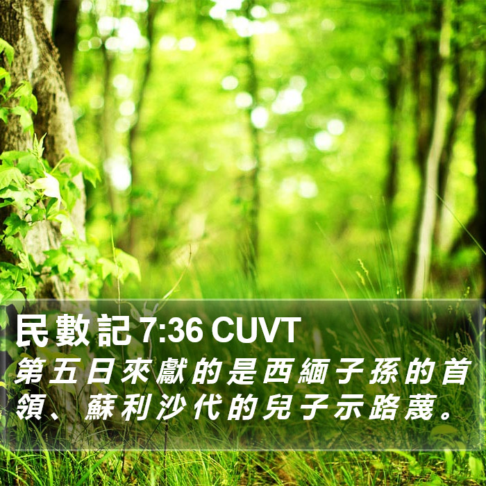 民 數 記 7:36 CUVT Bible Study