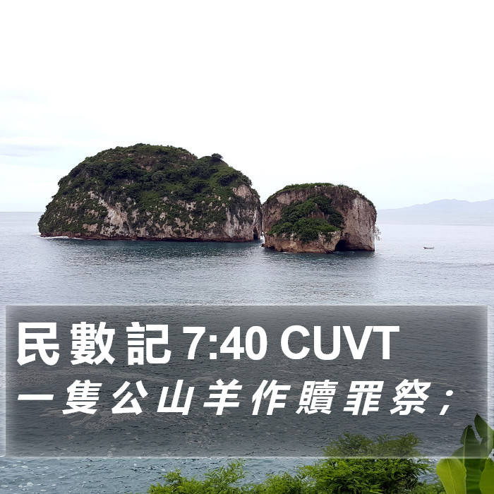 民 數 記 7:40 CUVT Bible Study