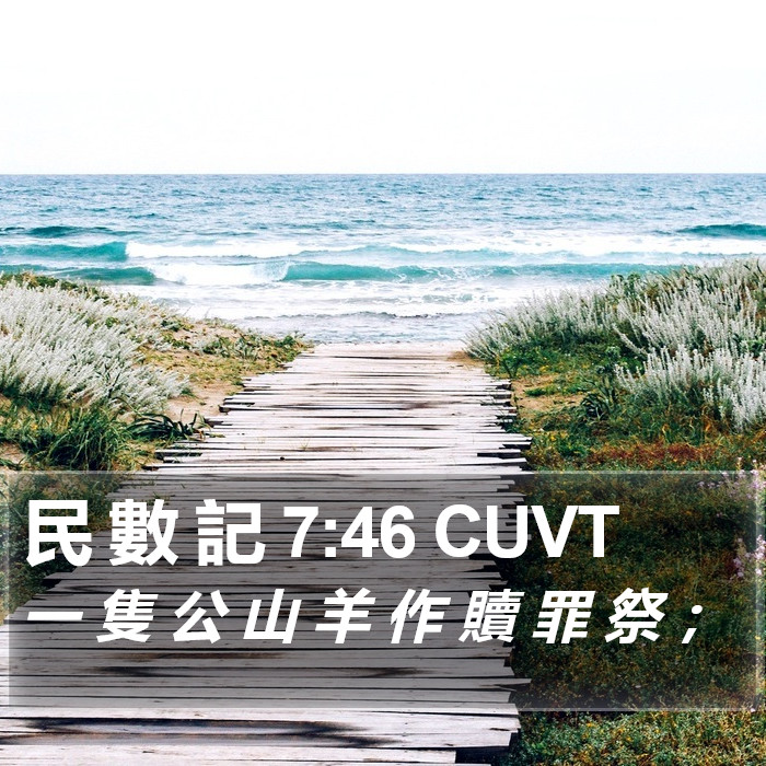 民 數 記 7:46 CUVT Bible Study