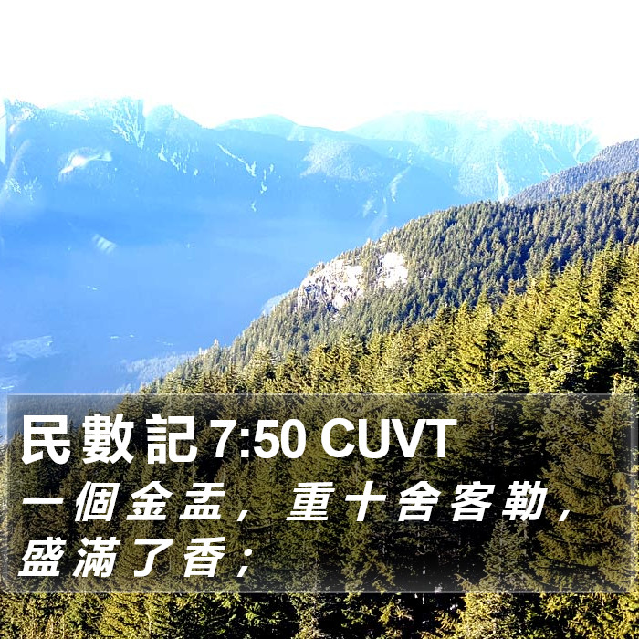 民 數 記 7:50 CUVT Bible Study