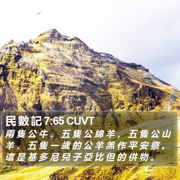 民 數 記 7:65 CUVT Bible Study