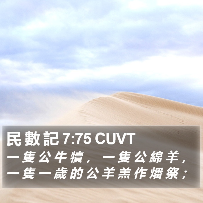 民 數 記 7:75 CUVT Bible Study