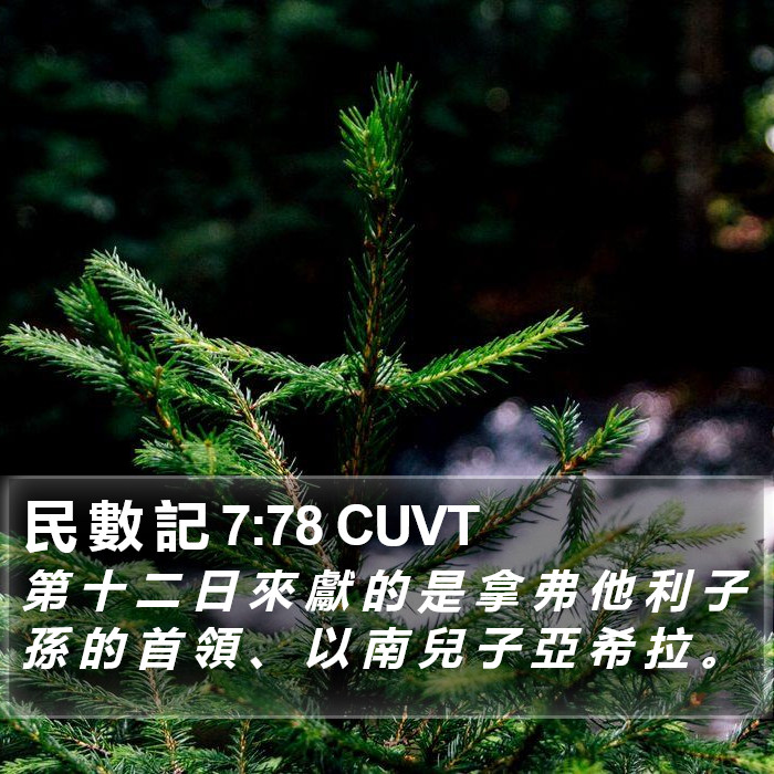 民 數 記 7:78 CUVT Bible Study