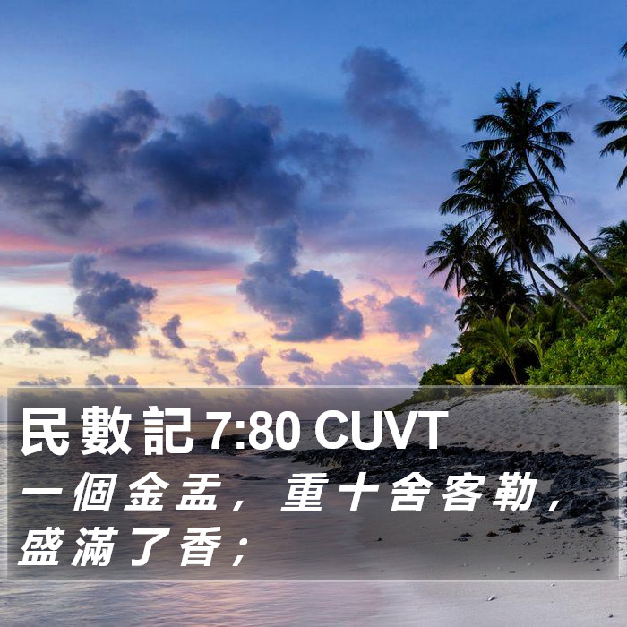 民 數 記 7:80 CUVT Bible Study