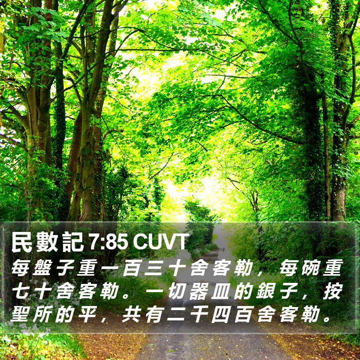 民 數 記 7:85 CUVT Bible Study