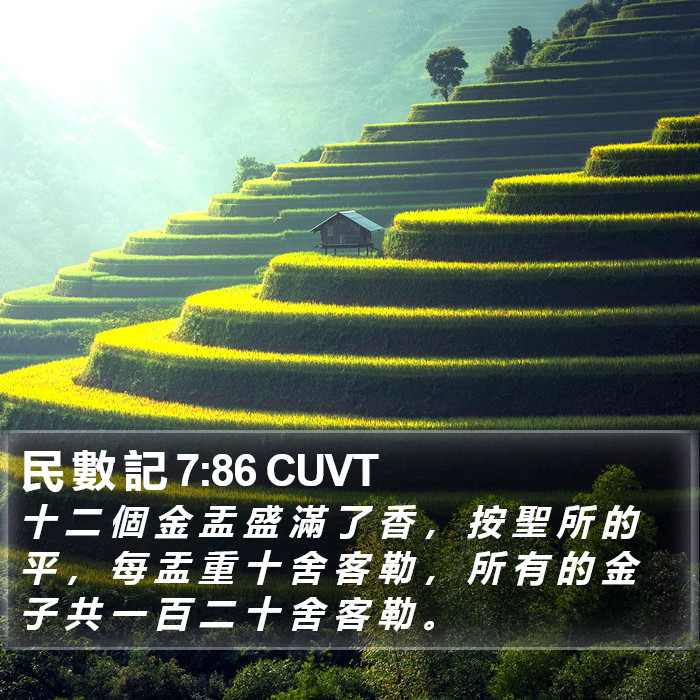 民 數 記 7:86 CUVT Bible Study