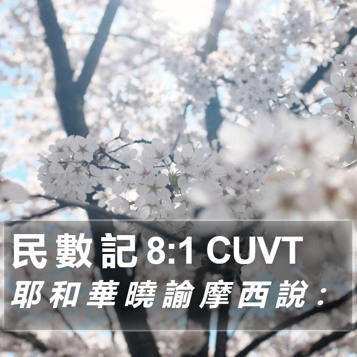 民 數 記 8:1 CUVT Bible Study