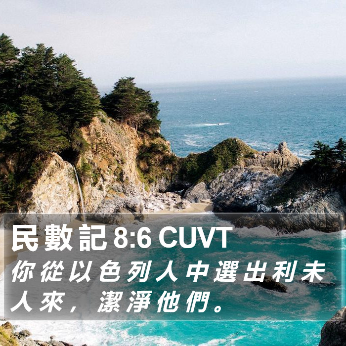 民 數 記 8:6 CUVT Bible Study