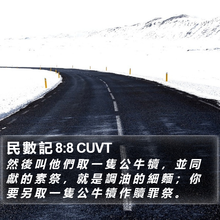 民 數 記 8:8 CUVT Bible Study