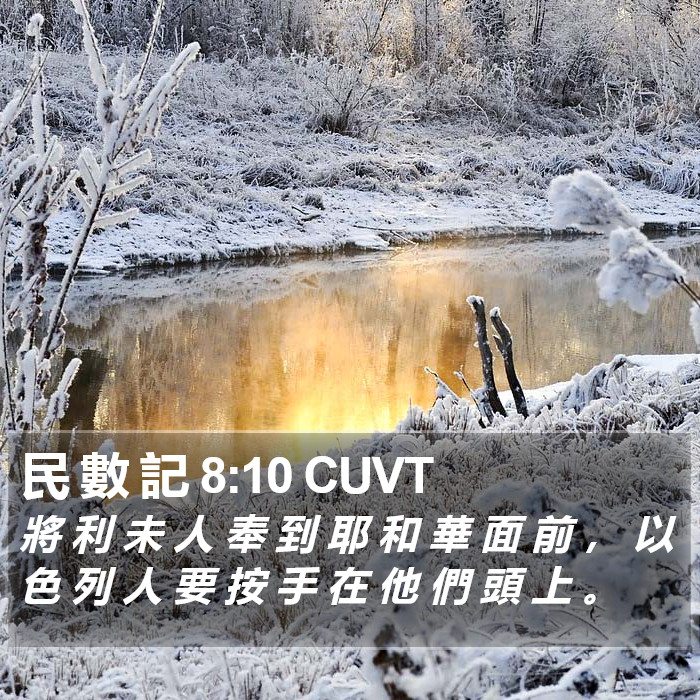 民 數 記 8:10 CUVT Bible Study