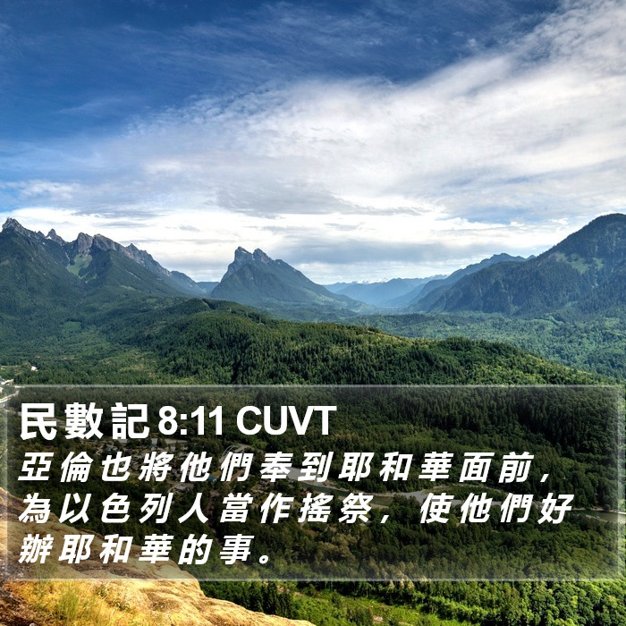 民 數 記 8:11 CUVT Bible Study