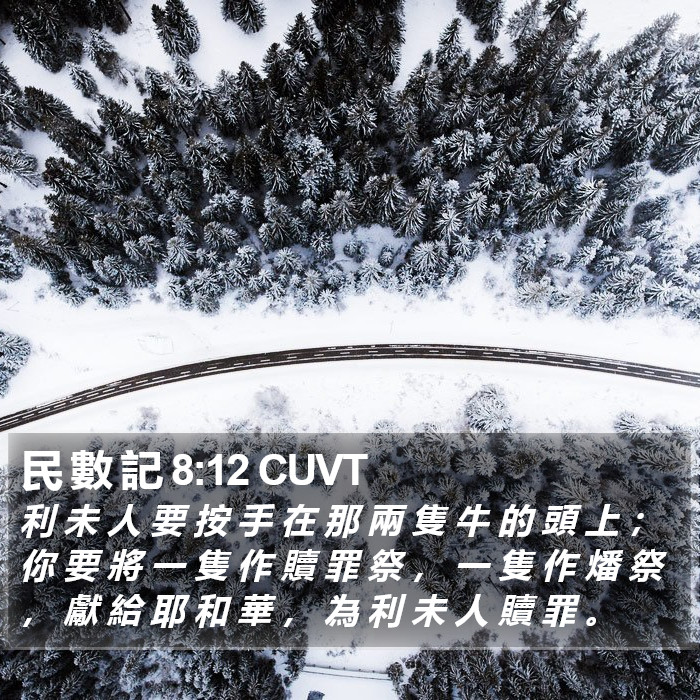 民 數 記 8:12 CUVT Bible Study