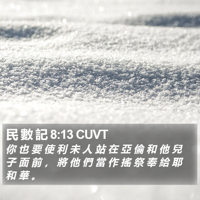 民 數 記 8:13 CUVT Bible Study