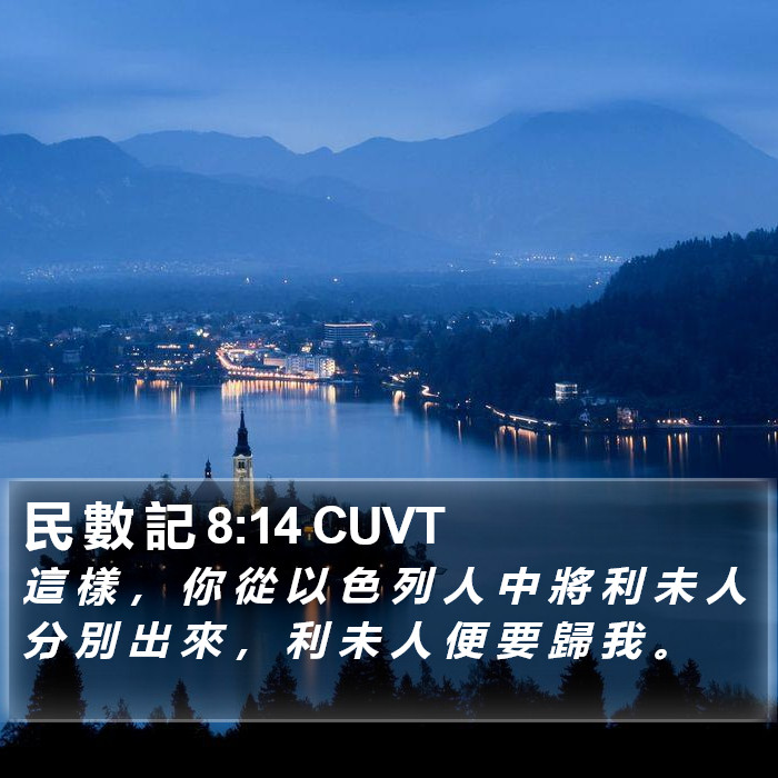 民 數 記 8:14 CUVT Bible Study