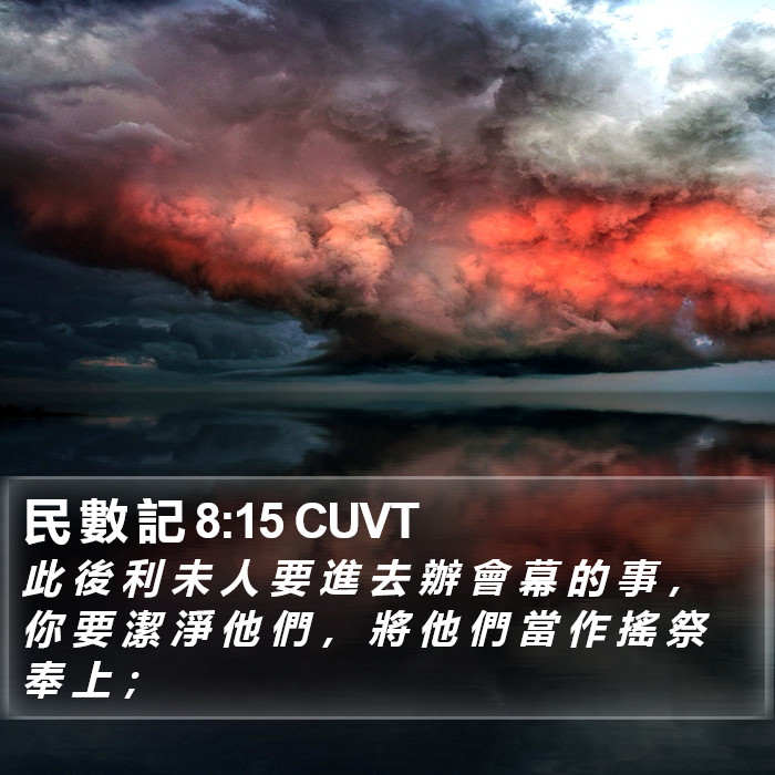 民 數 記 8:15 CUVT Bible Study