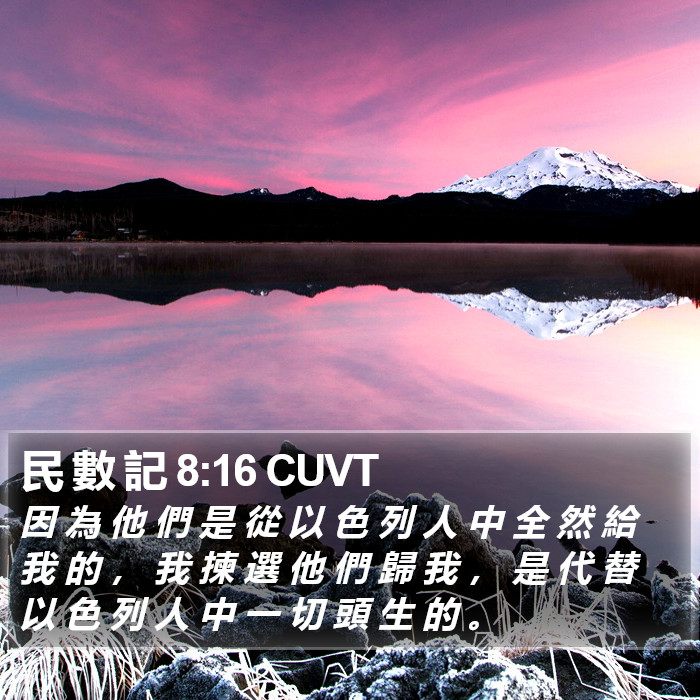 民 數 記 8:16 CUVT Bible Study