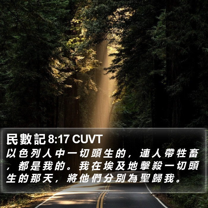 民 數 記 8:17 CUVT Bible Study