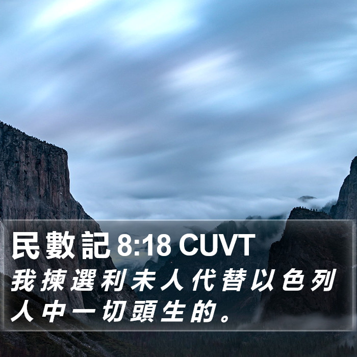 民 數 記 8:18 CUVT Bible Study