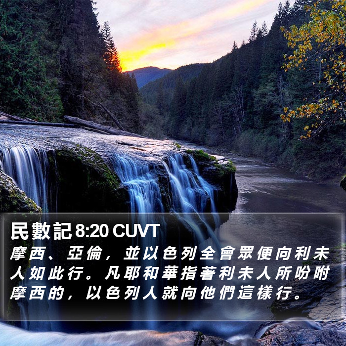 民 數 記 8:20 CUVT Bible Study