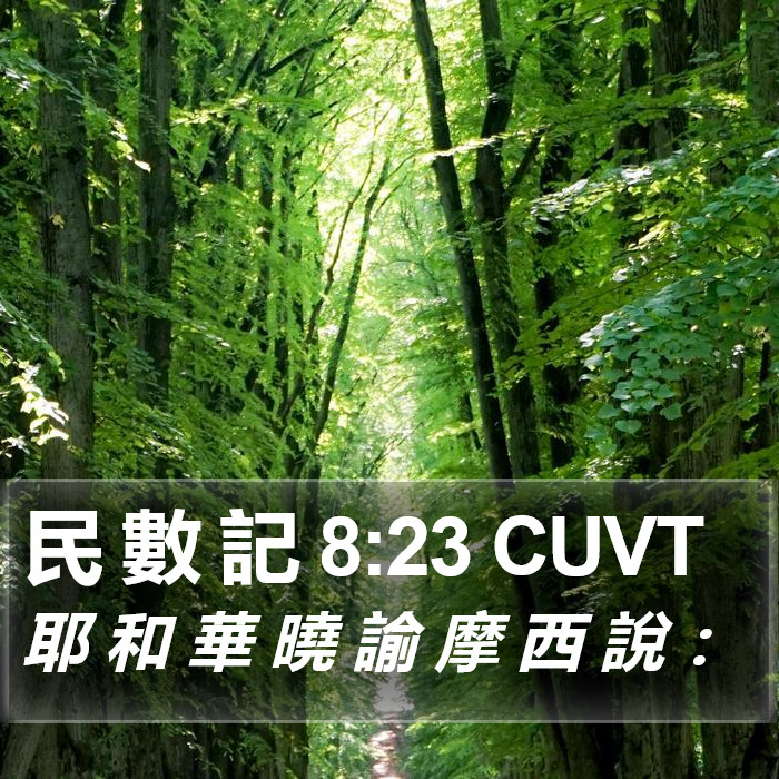 民 數 記 8:23 CUVT Bible Study