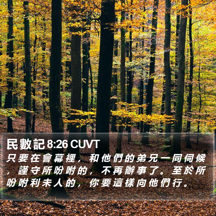 民 數 記 8:26 CUVT Bible Study