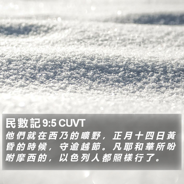 民 數 記 9:5 CUVT Bible Study