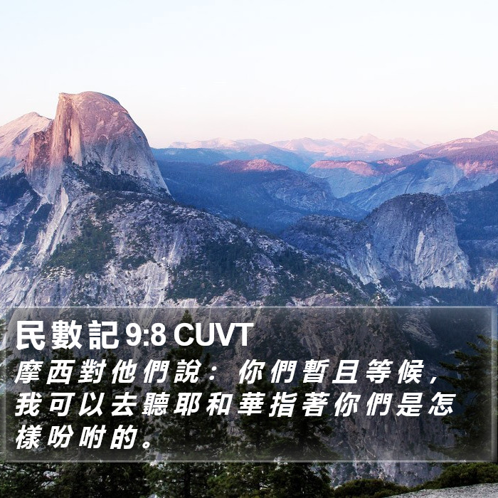 民 數 記 9:8 CUVT Bible Study