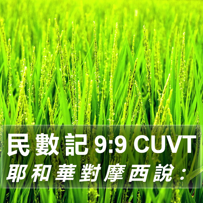 民 數 記 9:9 CUVT Bible Study