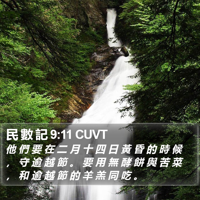 民 數 記 9:11 CUVT Bible Study
