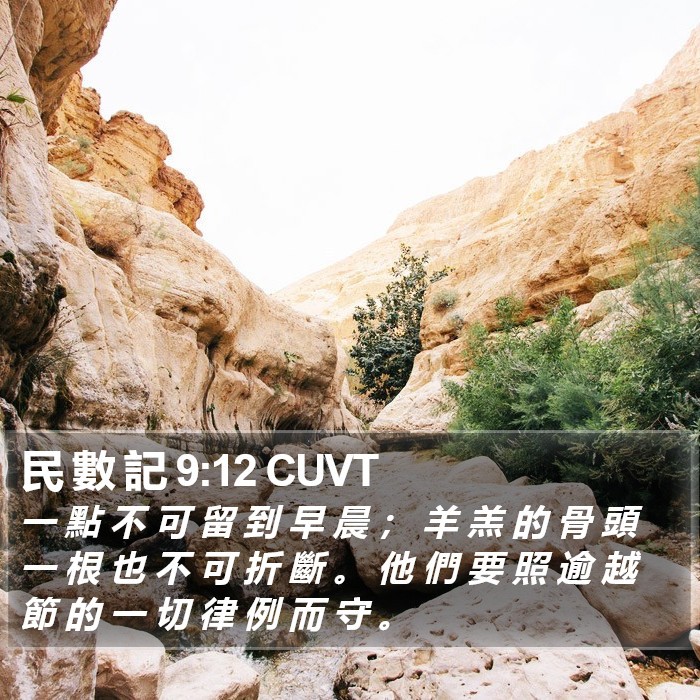 民 數 記 9:12 CUVT Bible Study