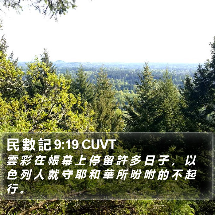 民 數 記 9:19 CUVT Bible Study