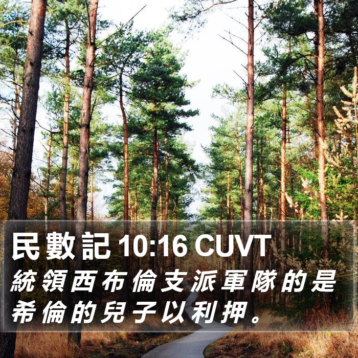 民 數 記 10:16 CUVT Bible Study