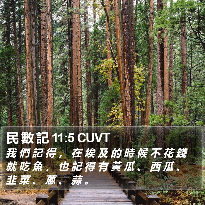 民 數 記 11:5 CUVT Bible Study
