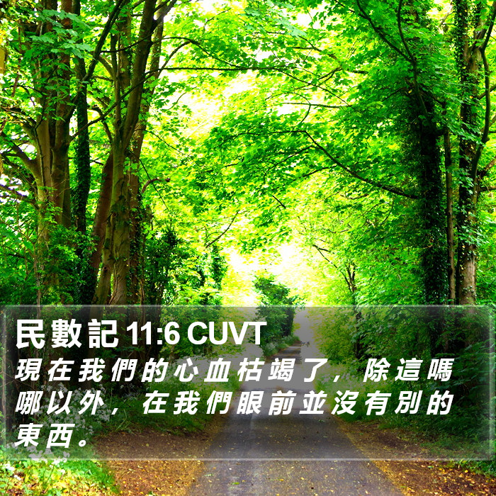 民 數 記 11:6 CUVT Bible Study