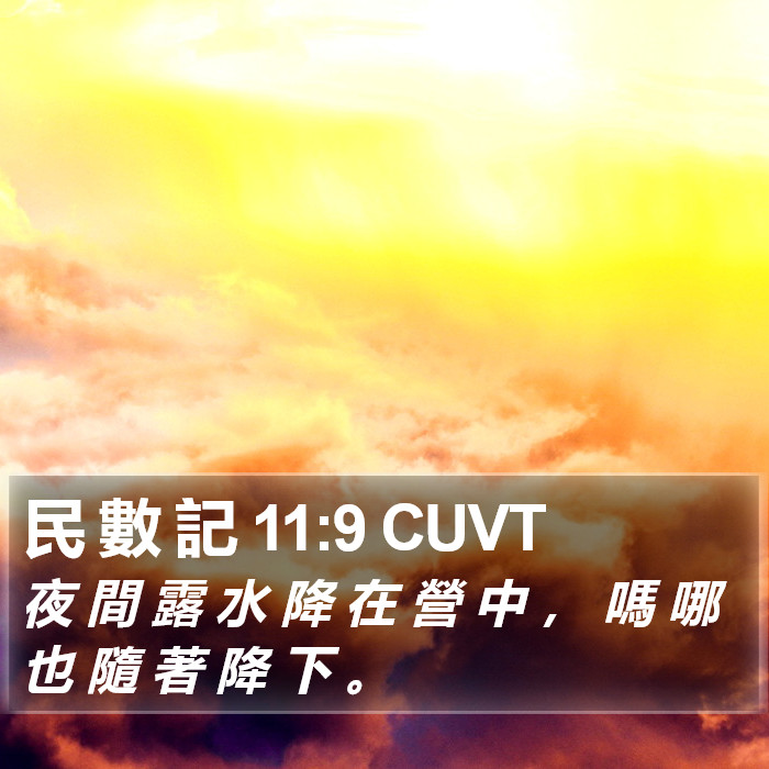 民 數 記 11:9 CUVT Bible Study