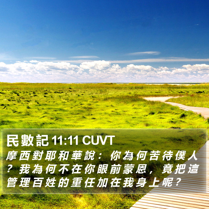民 數 記 11:11 CUVT Bible Study