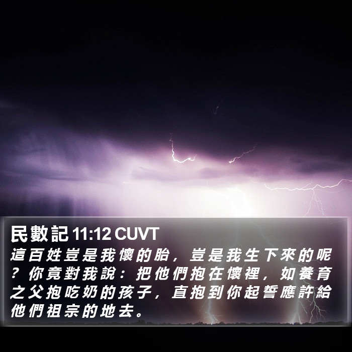 民 數 記 11:12 CUVT Bible Study