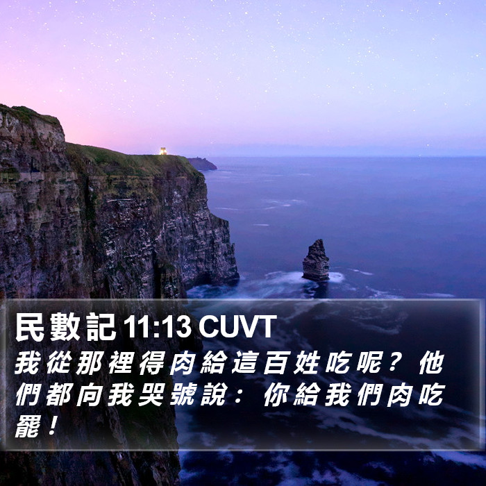 民 數 記 11:13 CUVT Bible Study