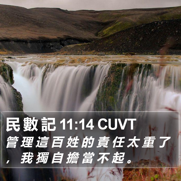 民 數 記 11:14 CUVT Bible Study