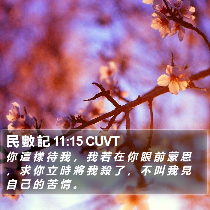 民 數 記 11:15 CUVT Bible Study