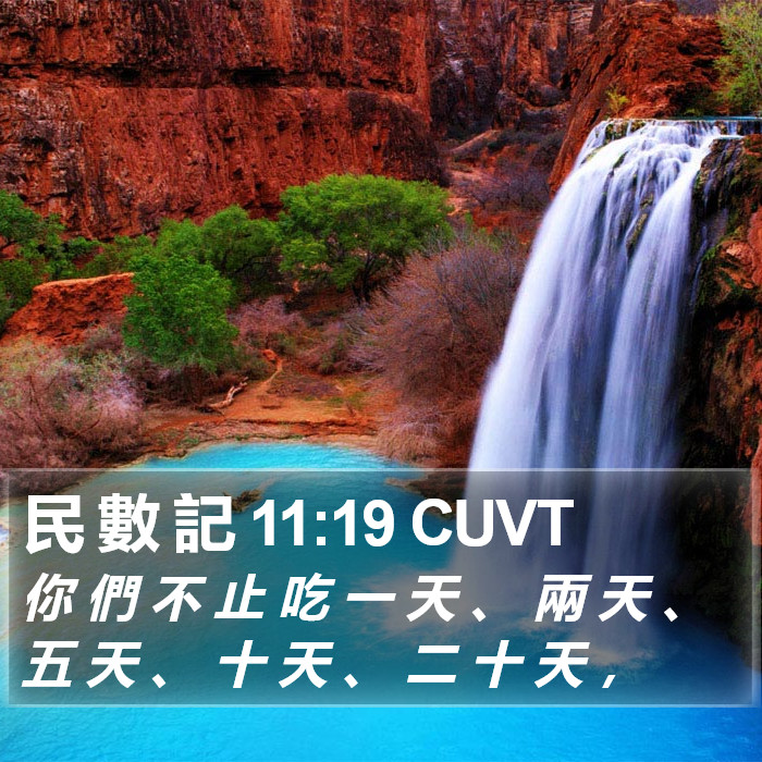 民 數 記 11:19 CUVT Bible Study