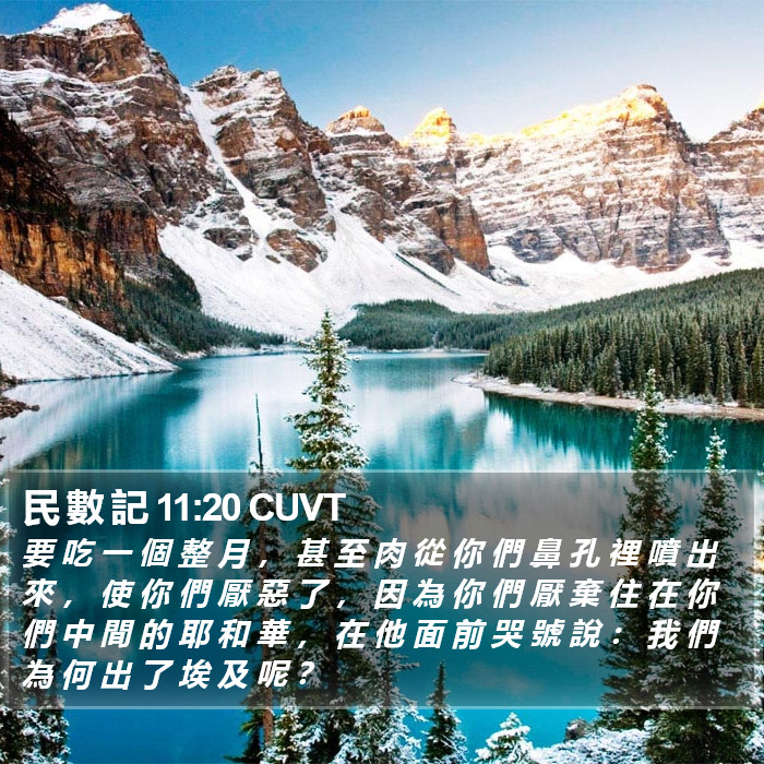 民 數 記 11:20 CUVT Bible Study
