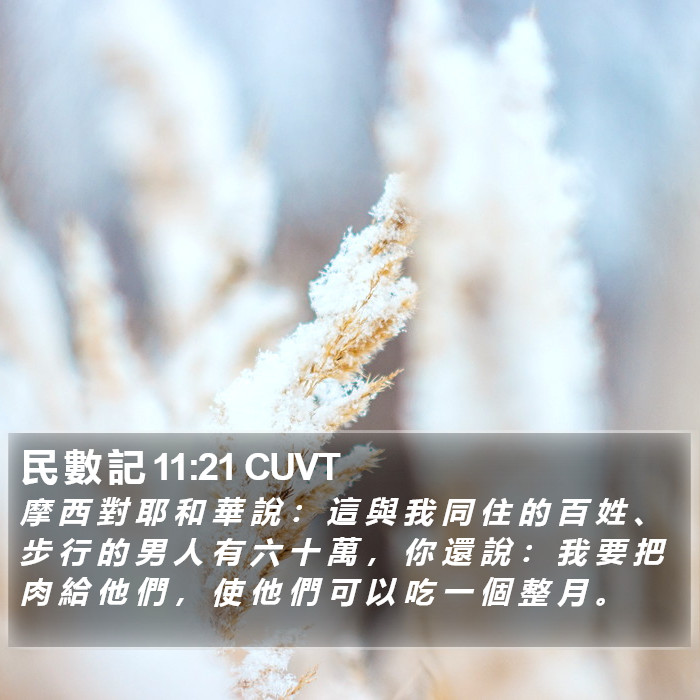 民 數 記 11:21 CUVT Bible Study