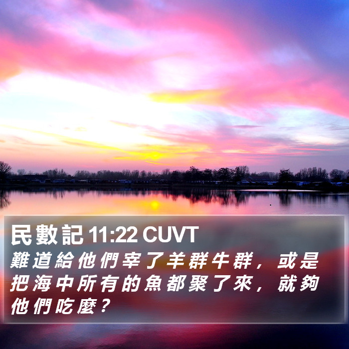 民 數 記 11:22 CUVT Bible Study