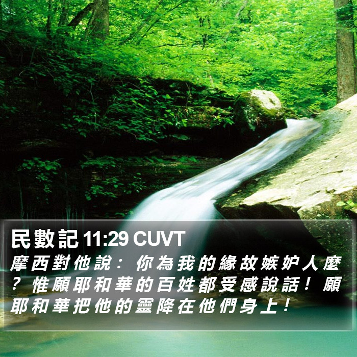 民 數 記 11:29 CUVT Bible Study