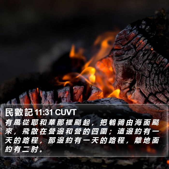 民 數 記 11:31 CUVT Bible Study