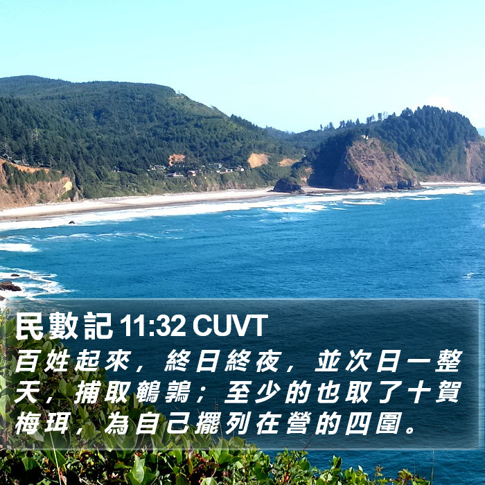 民 數 記 11:32 CUVT Bible Study